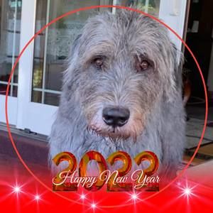 Meet your Posher, Claire